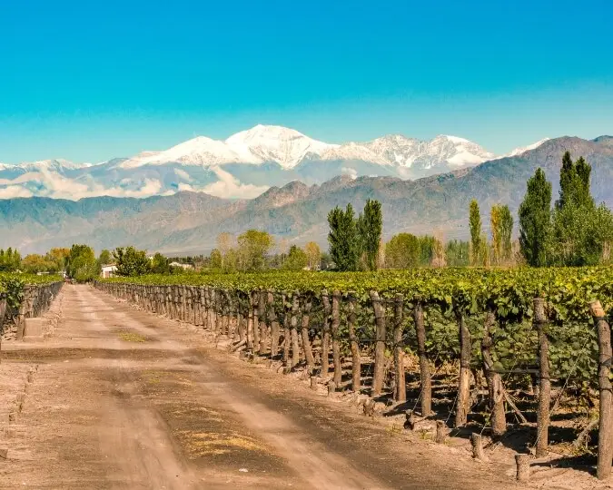 MENDOZA