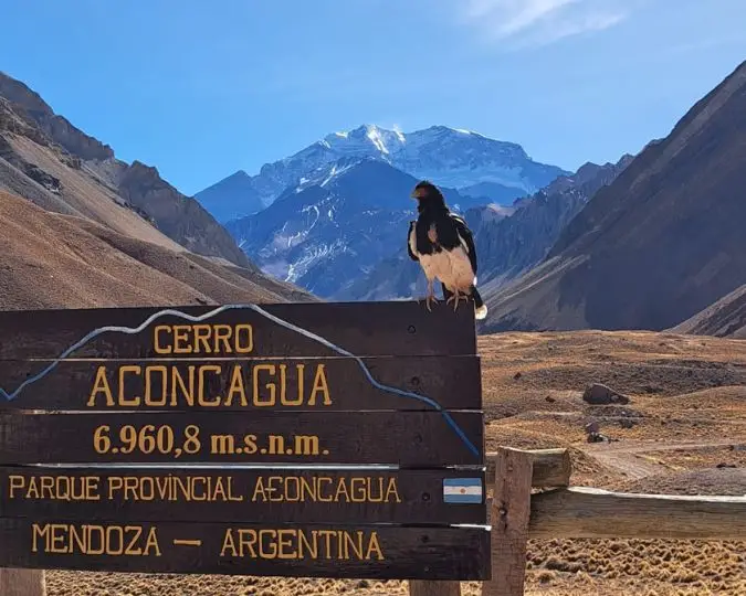 EXPERIENCIA ACONCAGUA - MENDOZA