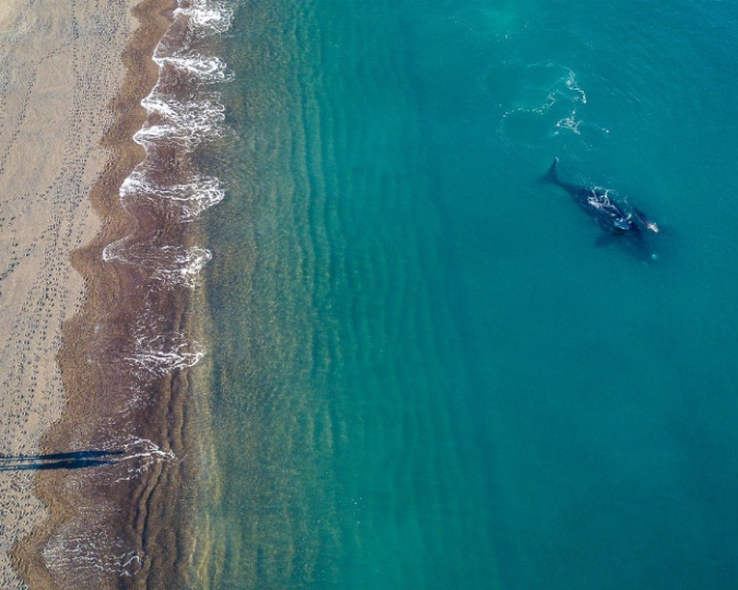 PUERTO MADRYN