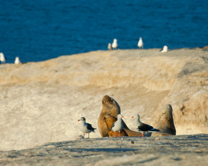 PUERTO MADRYN