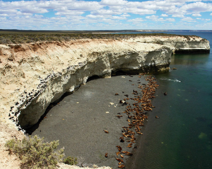 PUERTO MADRYN
